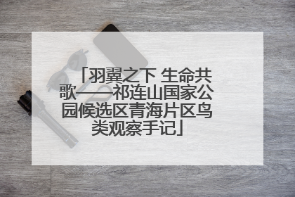 羽翼之下 生命共歌——祁连山国家公园候选区青海片区鸟类观察手记